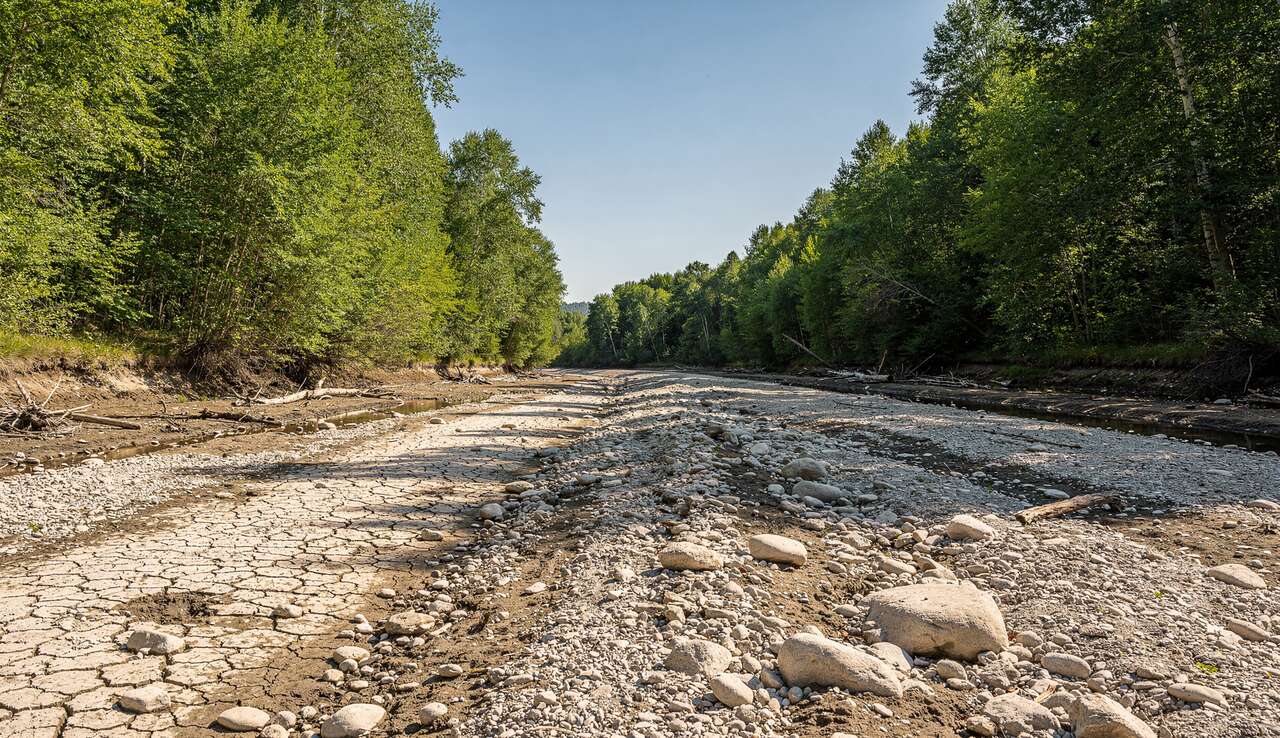Descente de la Lesse en canoë-kayak suspendue : sécheresse en cause