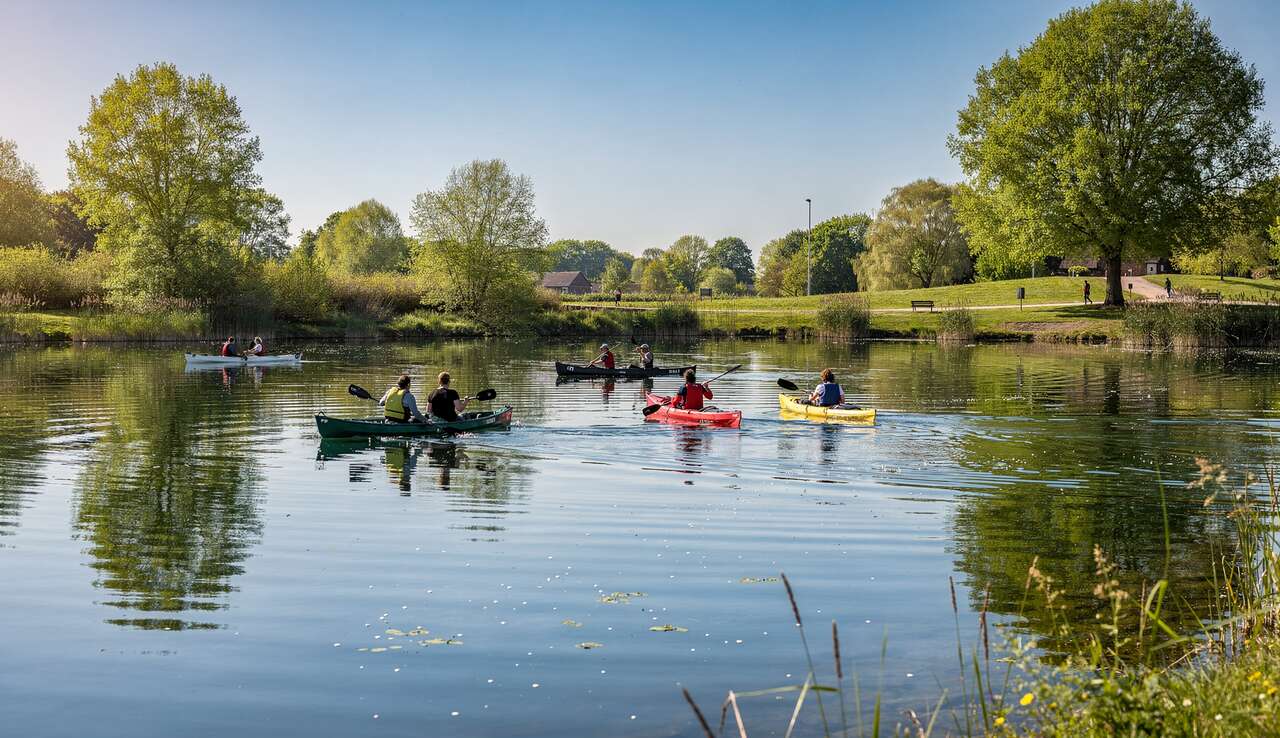 Découvrir l'étang du vignoble Découvrir l'étang du vignoble