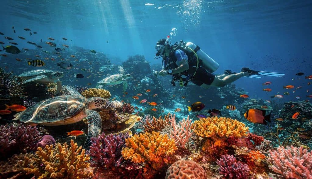 Séjour de plongée en mer Rouge