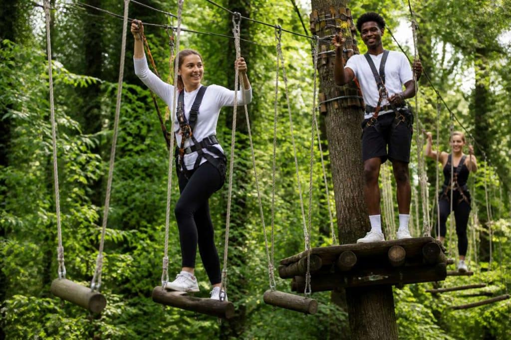 Accrobranche : une activité sportive de plein air pour tous