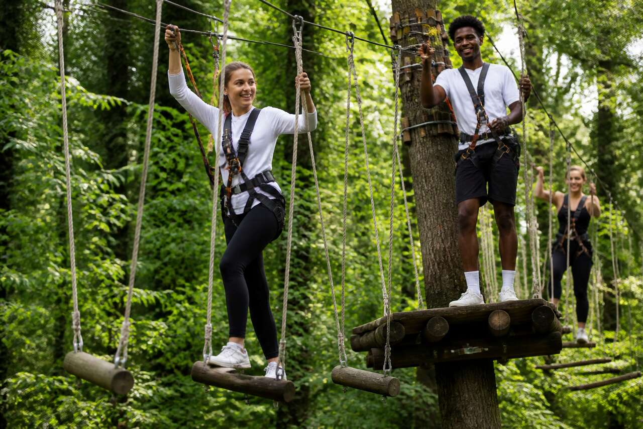 Accrobranche : une activité sportive de plein air pour tous
