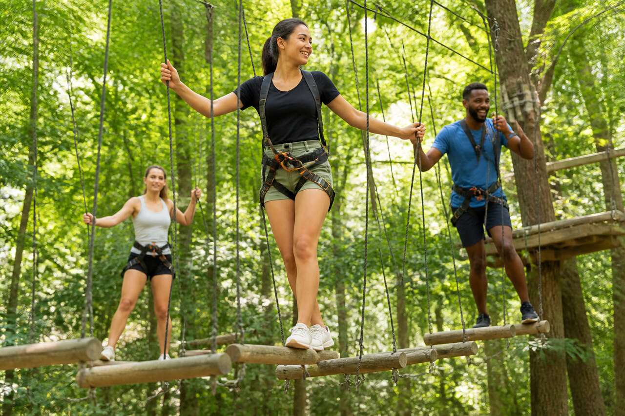 Accrobranche : de quoi parle-t-on exactement ?