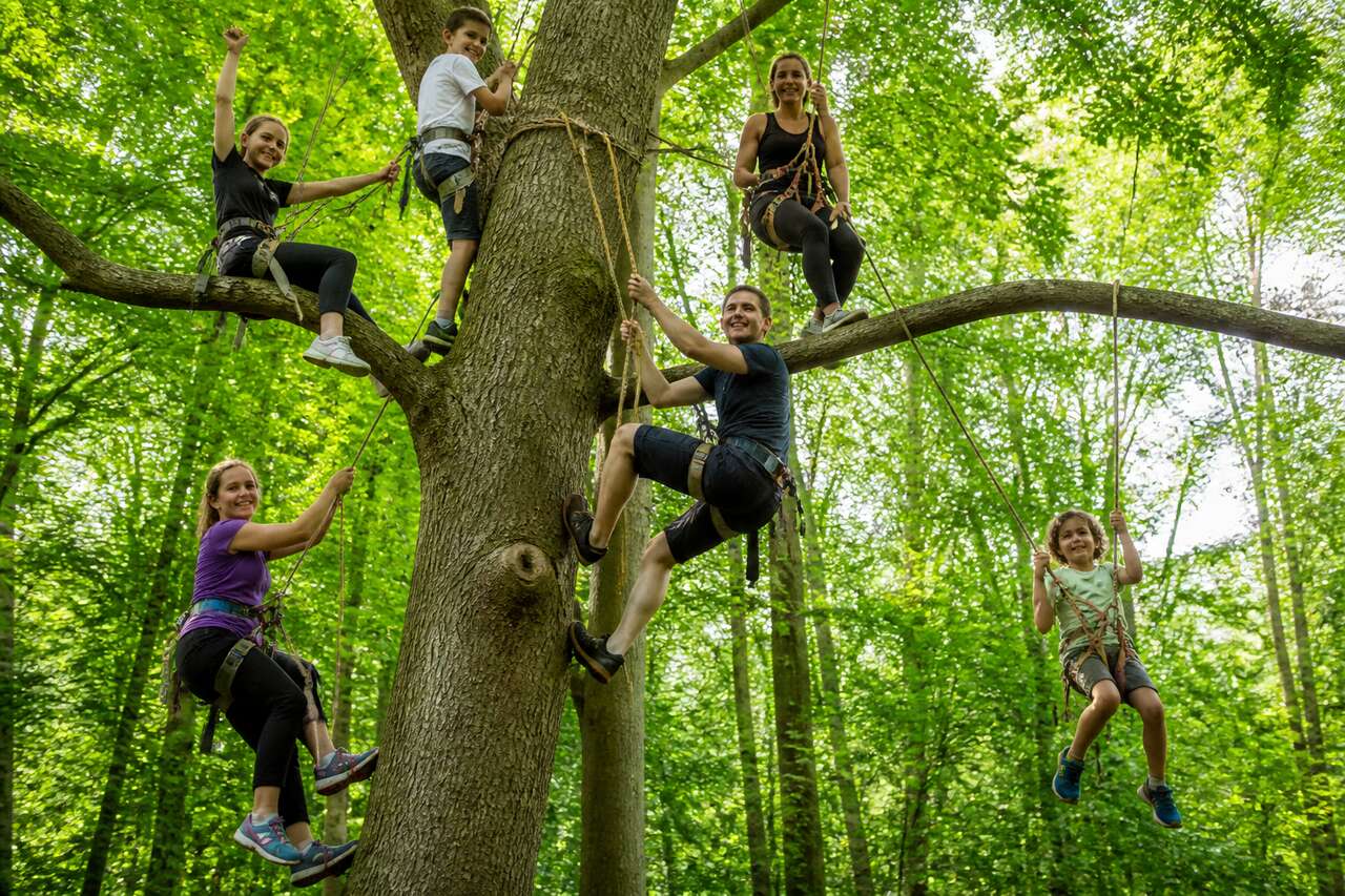Est-ce que l&rsquo;accrobranche est un sport de plein air ?