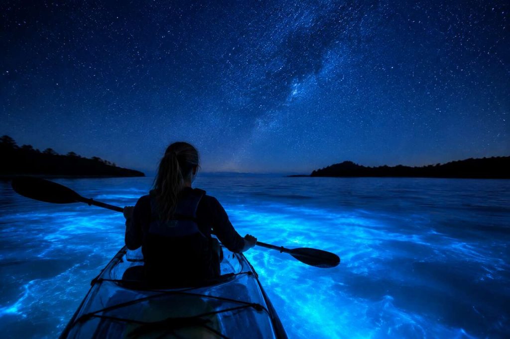 Exploration nocturne : plongez dans la magie de la baie bioluminescente en kayak