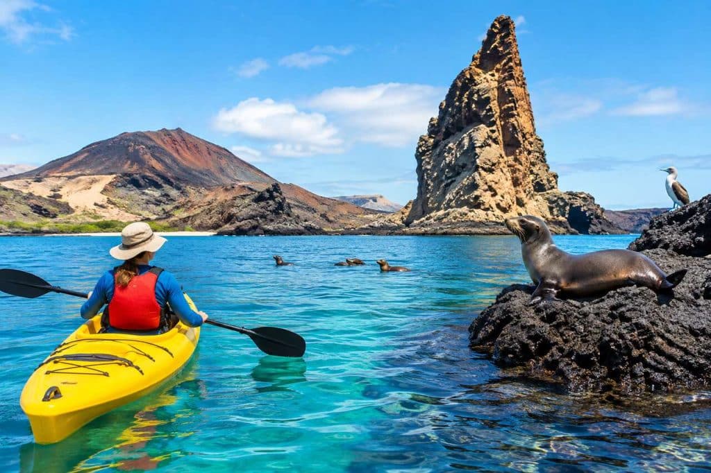 Les mystères des îles enchantées : une aventure hors du temps en kayak aux Galapagos