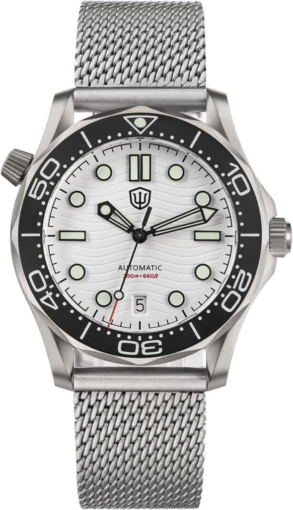 Test : montre de plongée watchdives WD007 en titane 42 mm